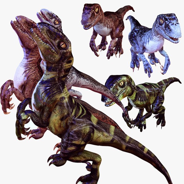 RAPTORS animated3D模型 - TurboSquid 2100037