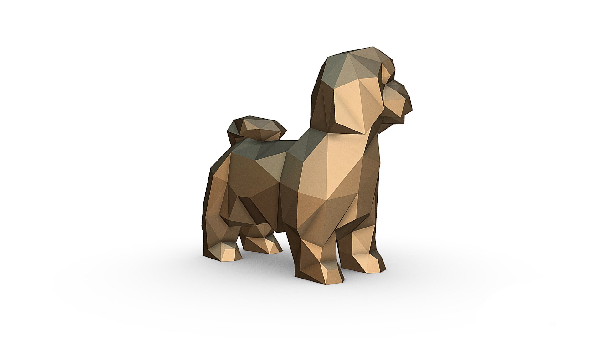 3D shih tzu model https://p.turbosquid.com/ts-thumb/nr/YCzt5I/7p/im_10/jpg/1643476907/1920x1080/fit_q87/ebddd184fa99b34d0706b8cd42a465b506f4fef6/im_10.jpg