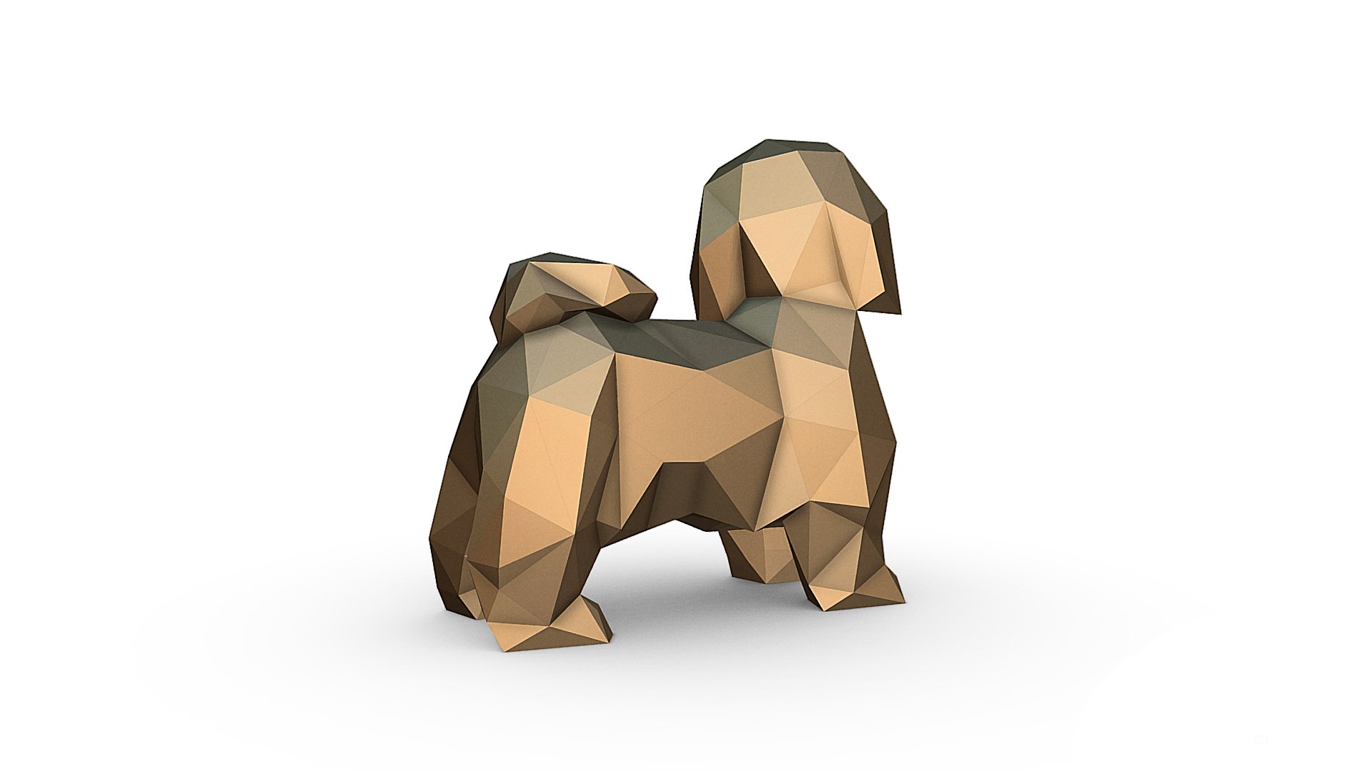 3D shih tzu model https://p.turbosquid.com/ts-thumb/nr/YCzt5I/AP/im_08/jpg/1643476906/1920x1080/fit_q87/28c7c1cd8db11b2d47d282c1a48857c5bc93e466/im_08.jpg