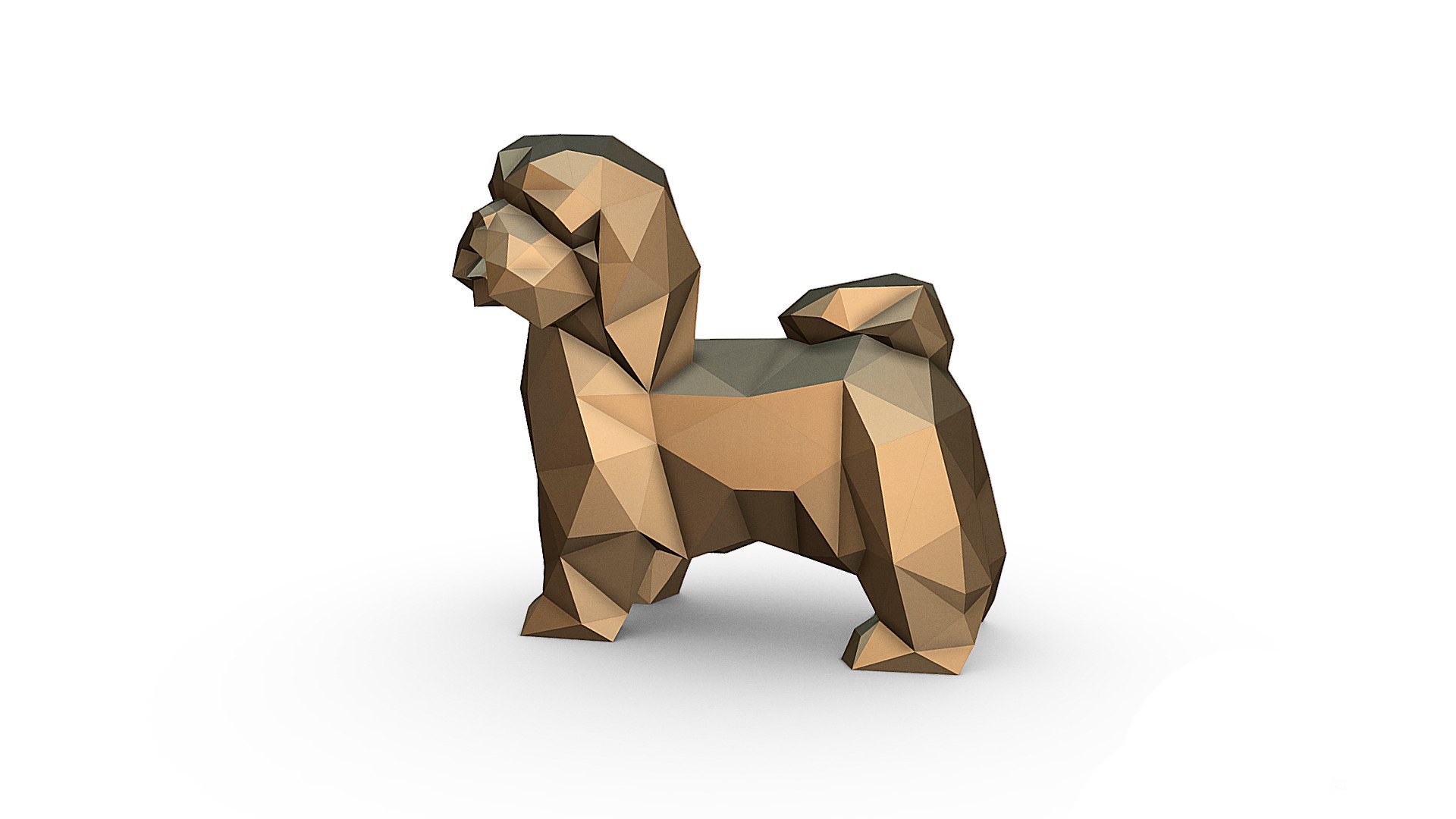 3D shih tzu model https://p.turbosquid.com/ts-thumb/nr/YCzt5I/MC/im_03/jpg/1643476906/1920x1080/fit_q87/c6cefa1f1089b986c6a6c0de5a955fb9505b553c/im_03.jpg