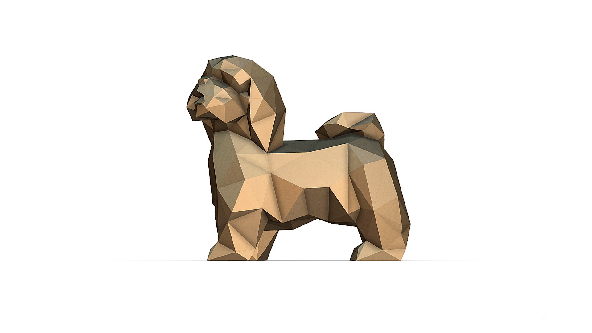 3D shih tzu model https://p.turbosquid.com/ts-thumb/nr/YCzt5I/iK/im_04/jpg/1643476906/1920x1080/fit_q87/456a085abb48c3aa78f0a35253cacd97154bc549/im_04.jpg