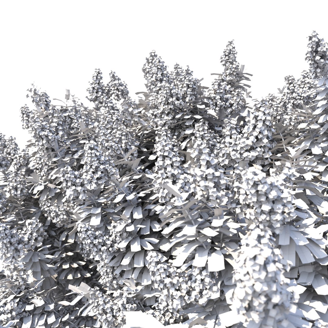 Crape myrtle No 1 with flowers 3D model https://p.turbosquid.com/ts-thumb/nr/bZBxFC/Bf/rend5/jpg/1626766074/1920x1080/fit_q87/840e682b59f0a95082dd79215f5f6da055dd0956/rend5.jpg