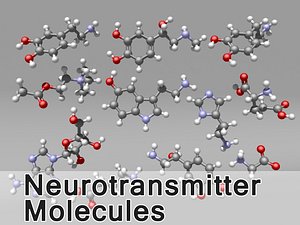 Neurotransmitters
