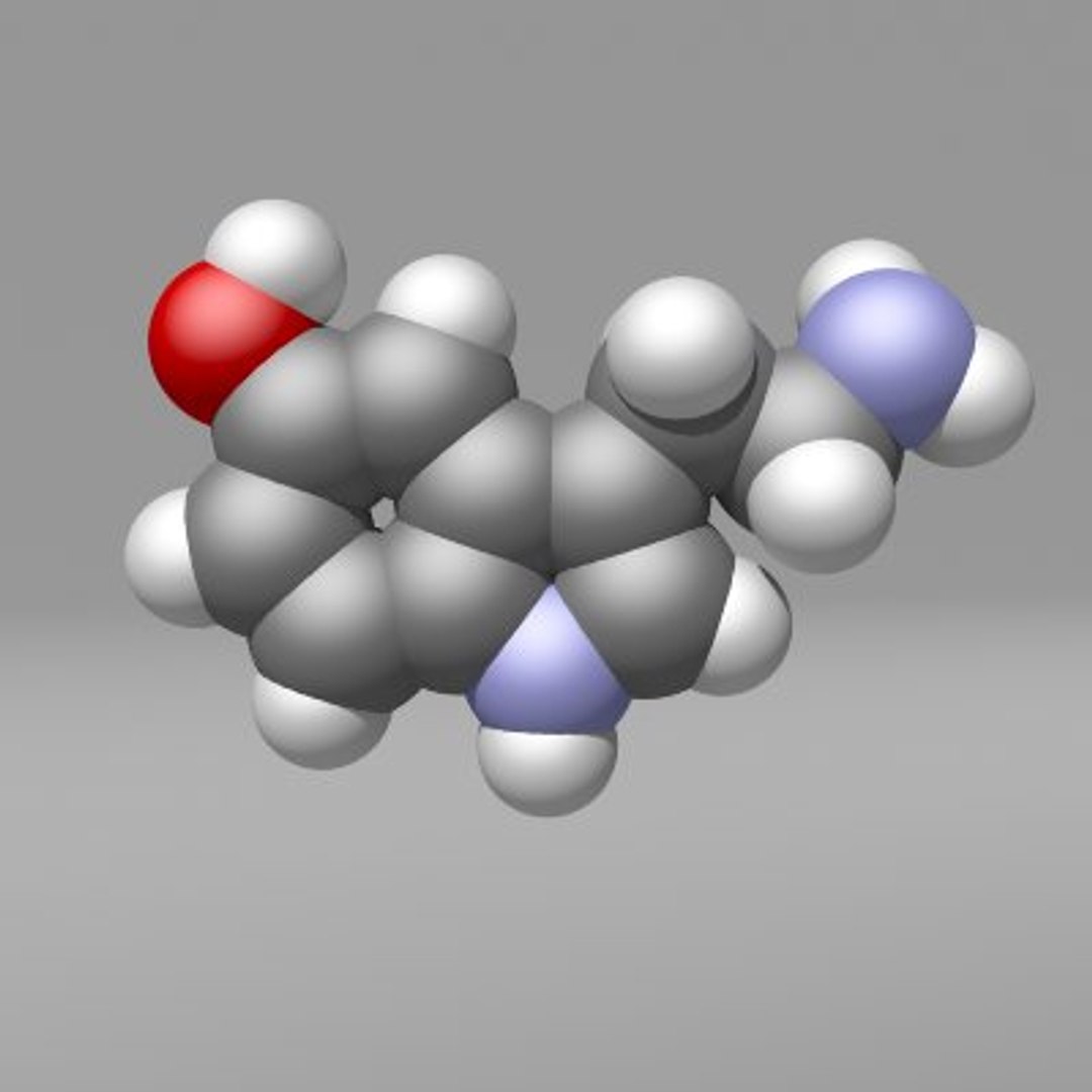 3d Model Molecular Neurotransmitters