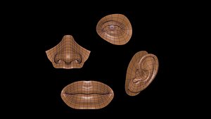 facial element Low-poly