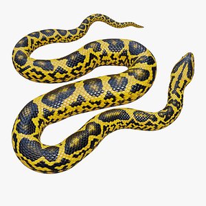 Yellow Anaconda - Rigged 3D model