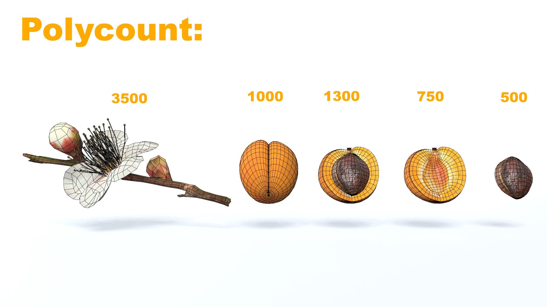 Apricot 3D - TurboSquid 2075097
