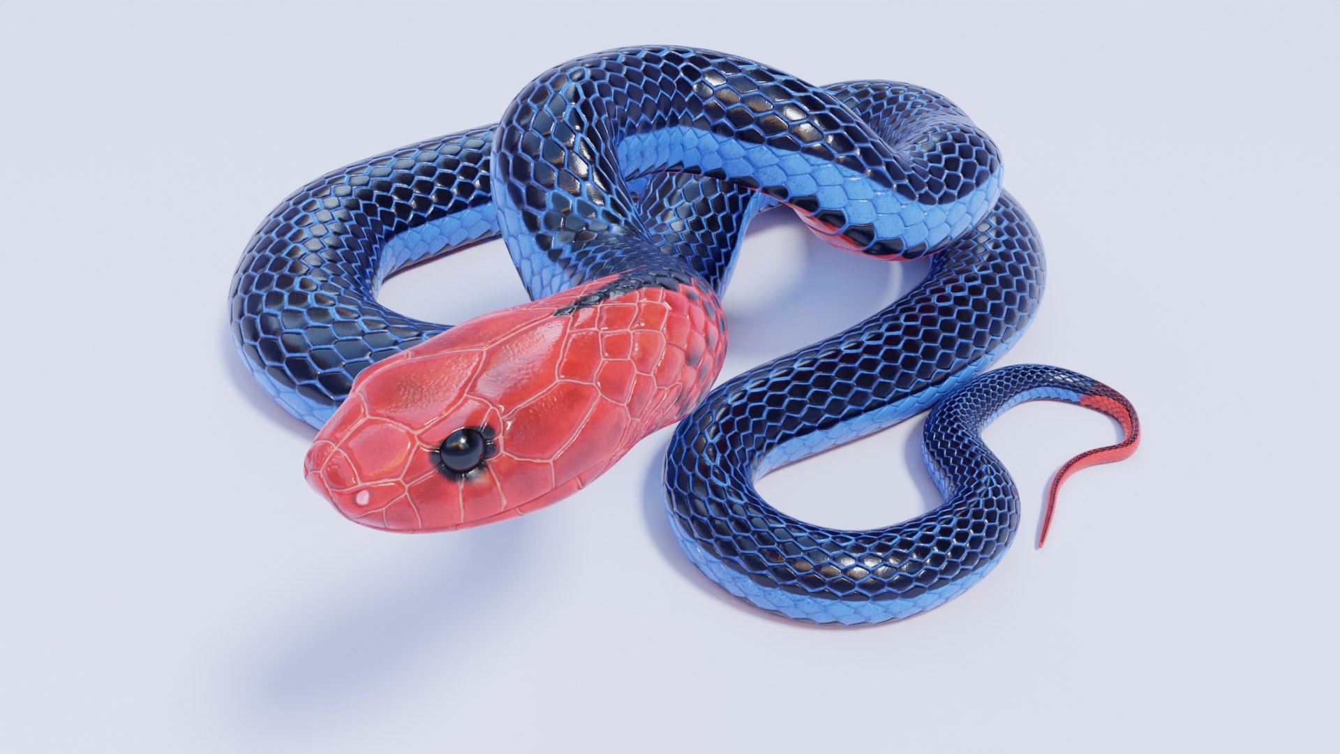 3D Rigged Blue Coral Snake https://p.turbosquid.com/ts-thumb/nr/xTH0il/bt/bluecoralsnake_prev_12/jpg/1661949312/1920x1080/fit_q87/f36f087a0f4f43d6d3fbd5dcb46d7104a5685a33/bluecoralsnake_prev_12.jpg