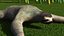 Sloth