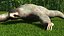 Sloth