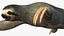 Sloth
