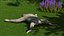 Sloth