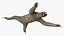 Sloth