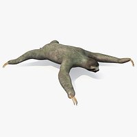 Sloth