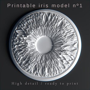 iris printing 3D model