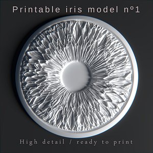 Printable iris model 1