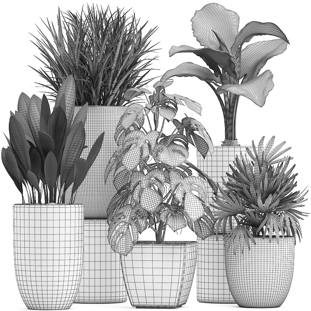 3D exotic plants - TurboSquid 1374137