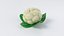 Cartoon Whole Vegetables Collection