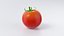 Cartoon Whole Vegetables Collection