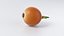 Cartoon Whole Vegetables Collection