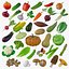 Cartoon Whole Vegetables Collection