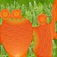 Cartoon Whole Vegetables Collection