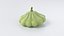 Cartoon Whole Vegetables Collection