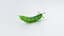 Cartoon Whole Vegetables Collection