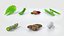 Cartoon Whole Vegetables Collection