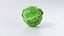 Cartoon Whole Vegetables Collection