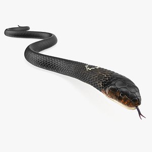 3D dark cobra snake crawling model