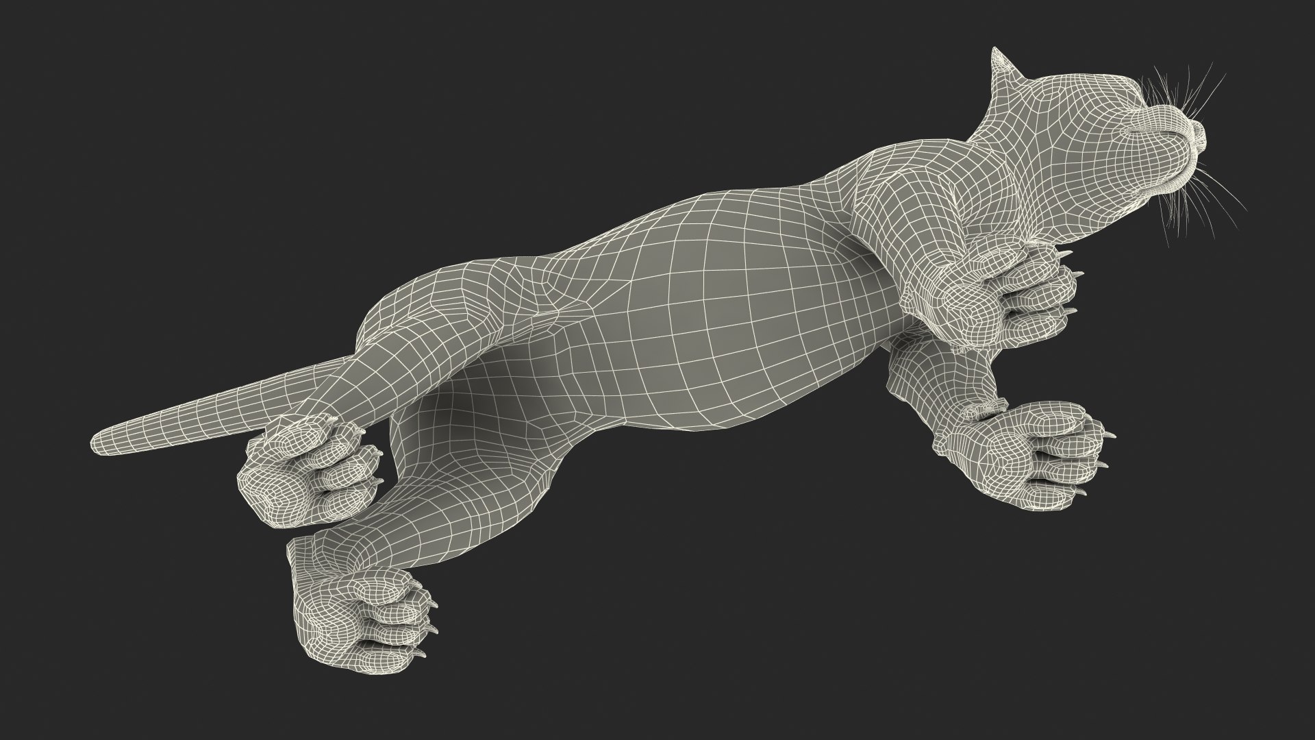 3D Cheetah Cub https://p.turbosquid.com/ts-thumb/ns/WY4uQC/2R/cheetah_cub_020/jpg/1740003789/1920x1080/fit_q87/b5fcecc14cbc79c0a9e20a21df007b1f02487db9/cheetah_cub_020.jpg
