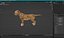 Cachorro de guepardo