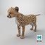 Cachorro de guepardo