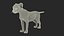 Cachorro de guepardo