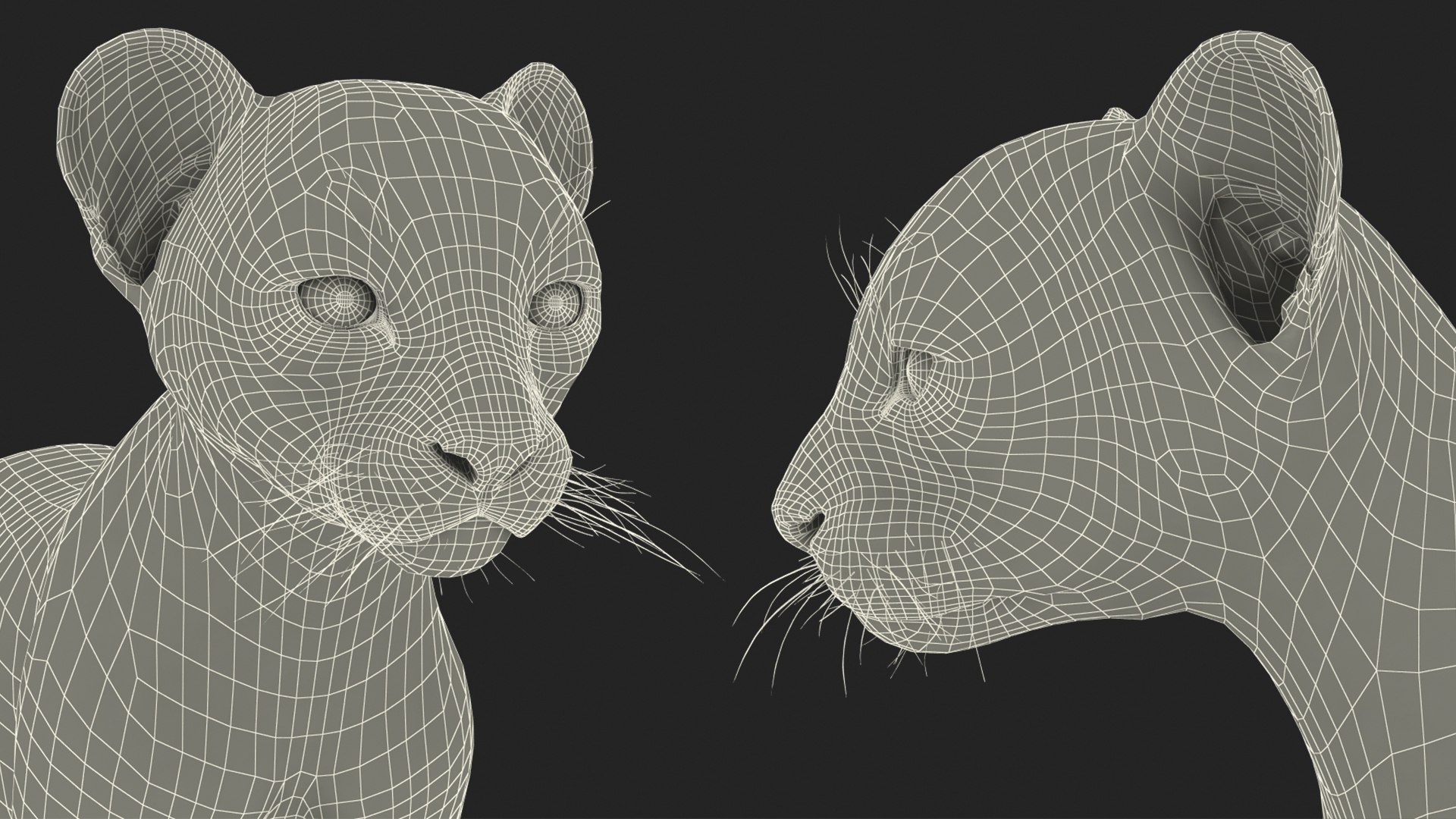 3D Cheetah Cub https://p.turbosquid.com/ts-thumb/ns/WY4uQC/qv/cheetah_cub_021/jpg/1740003794/1920x1080/fit_q87/a846e262f75aa36b742dac51b0c70c2ff3e79ed6/cheetah_cub_021.jpg