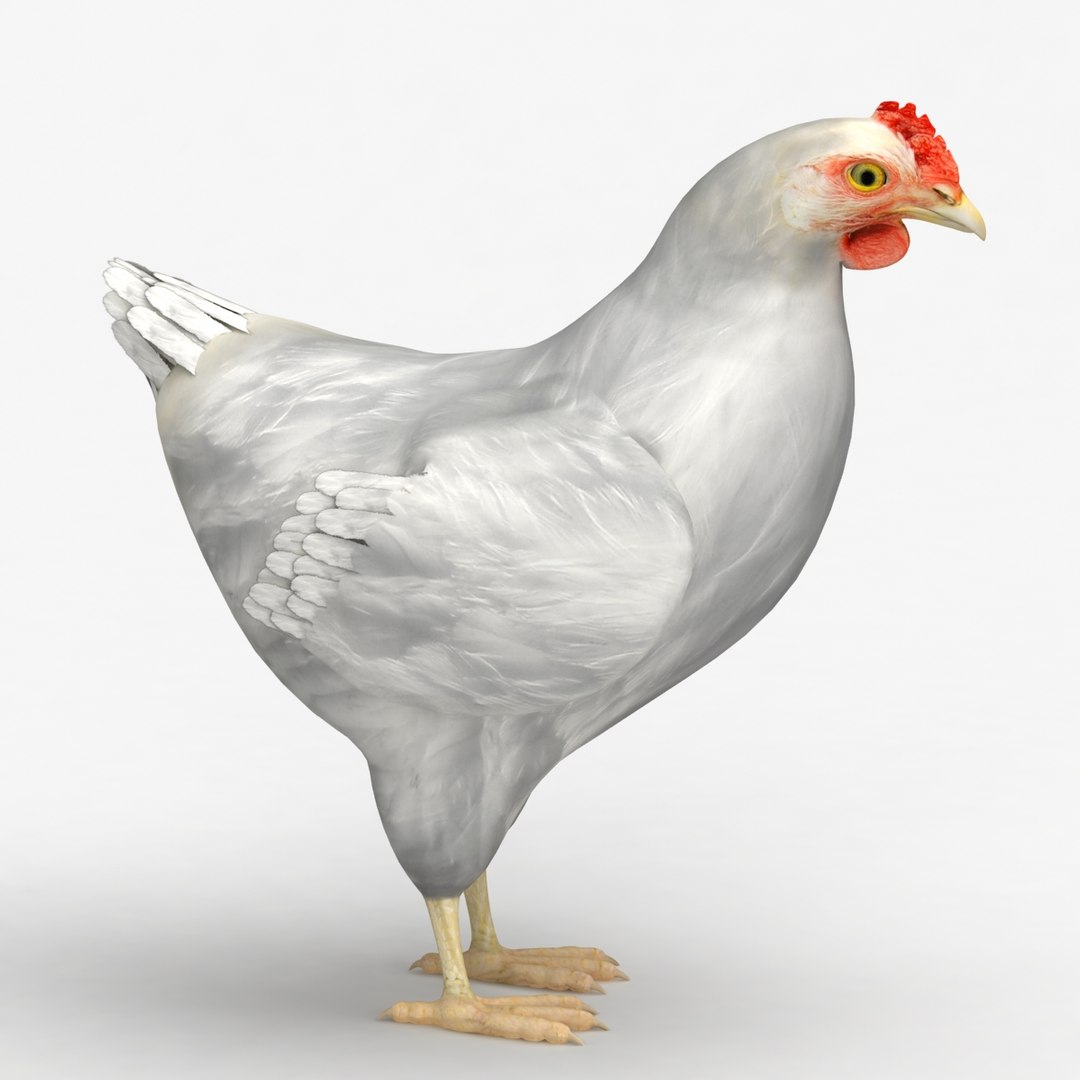 dxf dugm02 chicken https://p.turbosquid.com/ts-thumb/ns/Xcn7BZ/31SQIJjL/chicken_010002/jpg/1370030254/1920x1080/fit_q87/003b6c4a73ee1c072e6ab202d48801d42c4c1239/chicken_010002.jpg