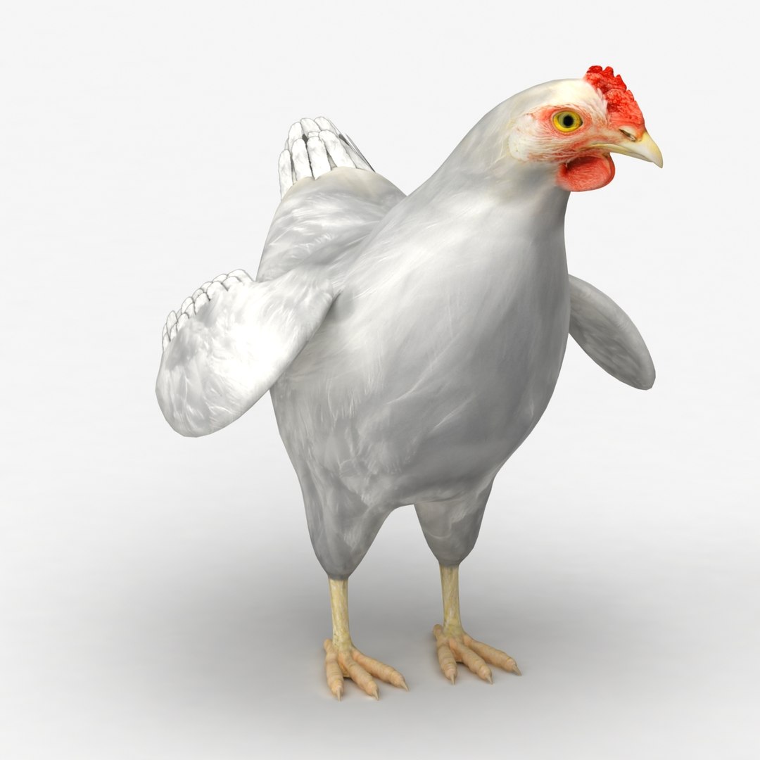 dxf dugm02 chicken https://p.turbosquid.com/ts-thumb/ns/Xcn7BZ/4AB5otB1/chicken_010004/jpg/1370030254/1920x1080/fit_q87/e79d7f5912043e3b93653ac1089e5076612a36a7/chicken_010004.jpg