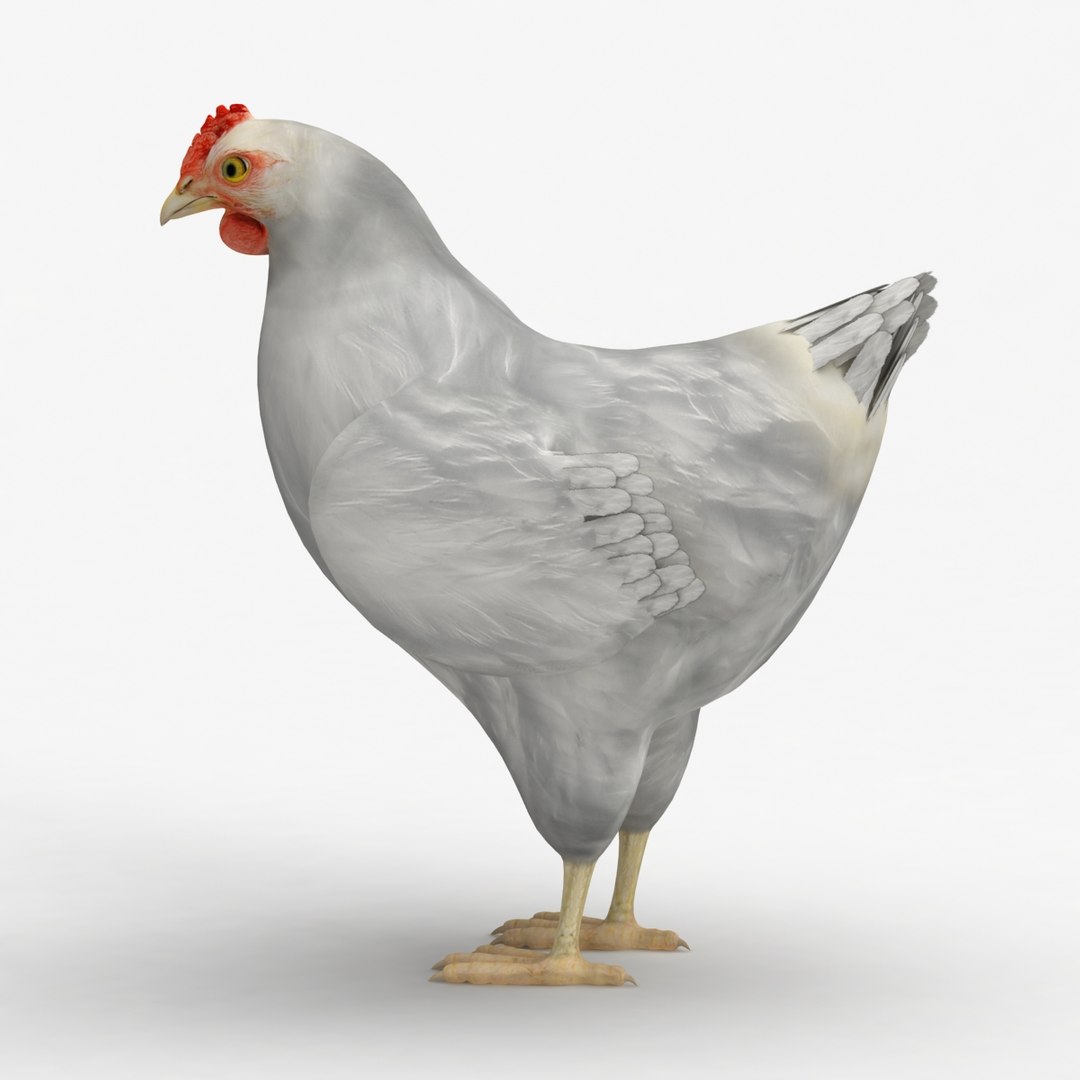 dxf dugm02 chicken https://p.turbosquid.com/ts-thumb/ns/Xcn7BZ/8xYMdV2O/0026/jpg/1370037502/1920x1080/fit_q87/df0b4e058609f2685f897128dfca76881720786b/0026.jpg