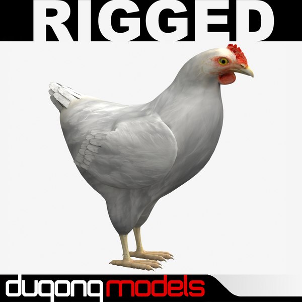 Chicken Maya Models for Download | TurboSquid
