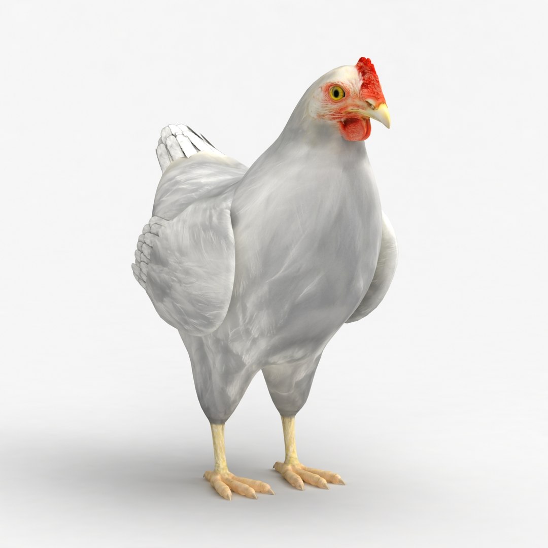 dxf dugm02 chicken https://p.turbosquid.com/ts-thumb/ns/Xcn7BZ/EN3Apl34/0046/jpg/1370030511/1920x1080/fit_q87/051928ef22d26938e28f8d9268fdee066a817511/0046.jpg