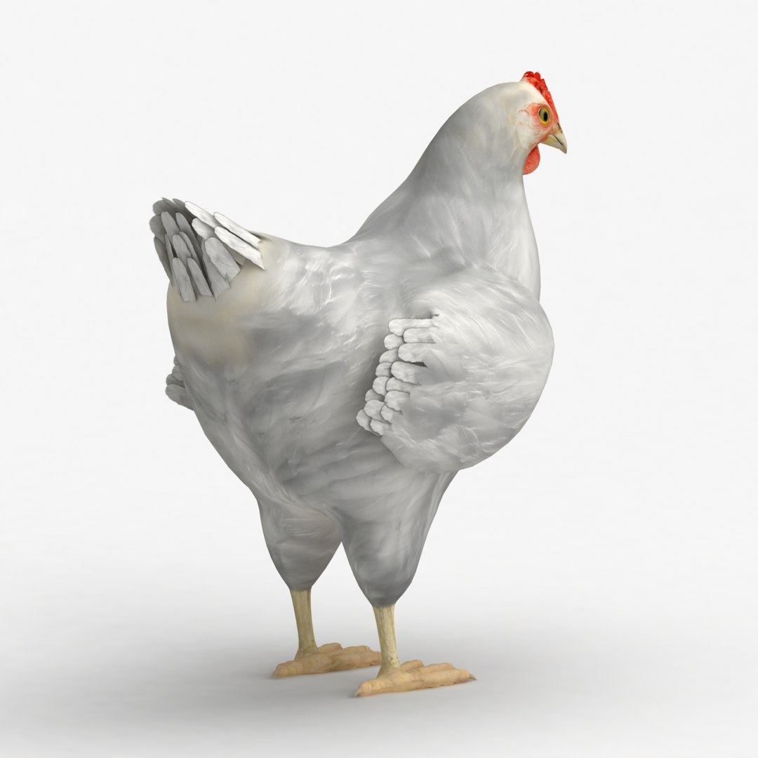 dxf dugm02 chicken https://p.turbosquid.com/ts-thumb/ns/Xcn7BZ/IHBUEK1Y/0010/jpg/1370037502/1920x1080/fit_q87/1fc5b7edab4eb5e8e2d3f1bb4470cc9befedac48/0010.jpg
