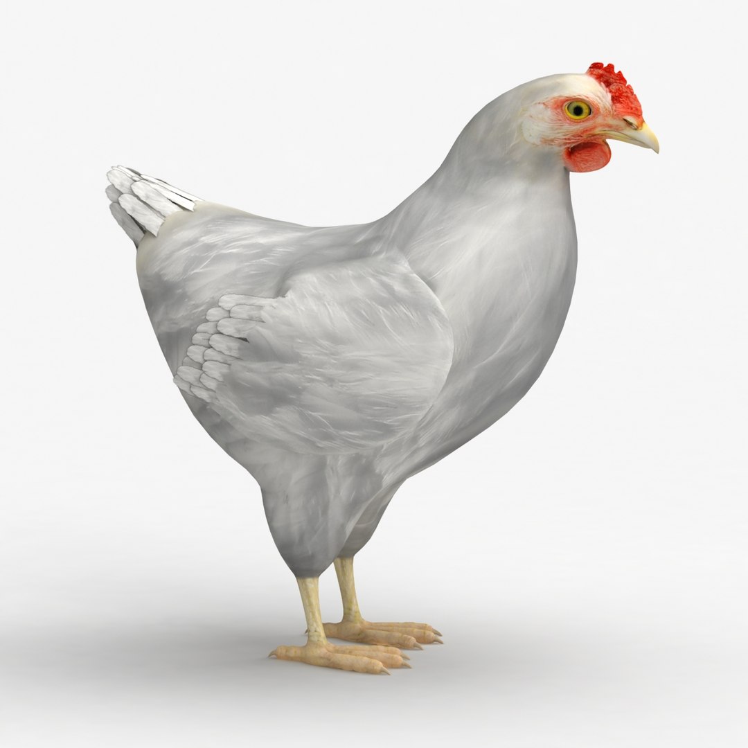 dxf dugm02 chicken https://p.turbosquid.com/ts-thumb/ns/Xcn7BZ/umqYyGBh/chicken_010000/jpg/1370030254/1920x1080/fit_q87/484471bf3d11e85fcb50ef9d1a4825ed7fce2c64/chicken_010000.jpg