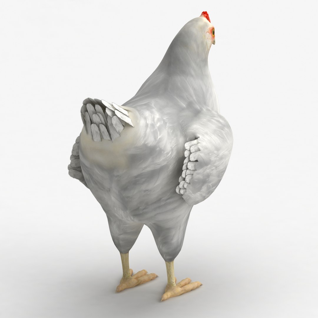 dxf dugm02 chicken https://p.turbosquid.com/ts-thumb/ns/Xcn7BZ/vI2sSyz6/chicken_010005/jpg/1370030254/1920x1080/fit_q87/71aecdfce905368c7f5ebc97a5761ac4de3dd555/chicken_010005.jpg