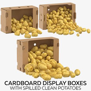 Cardboard Display Boxes with Spilled Clean Potatoes