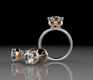 3d ring earrings model