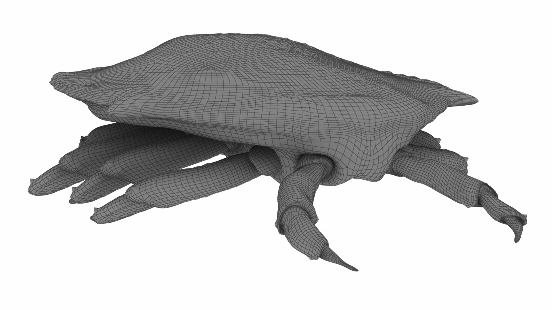 3D crab sea star horse https://p.turbosquid.com/ts-thumb/nt/6OZsxU/CHw3eeBO/w3/jpg/1579422997/1920x1080/fit_q87/985281d94304e114c1655254841331e5765cd4a8/w3.jpg