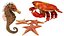 3D crab sea star horse