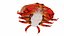 3D crab sea star horse