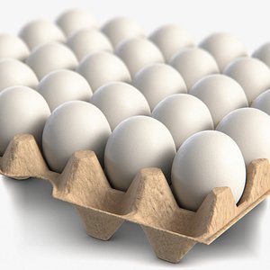 Egg Package With White Eggs